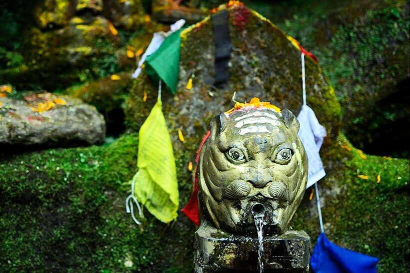 Kathmandu: Shivapuri Day Hike with Lunch - Key highlights at a glance
