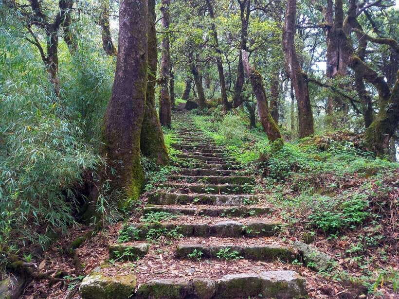 Kathmandu: Shivapuri Day Hike with Lunch - Budhanilkantha Temple and Bagmati Connections: What You See on the Way Back