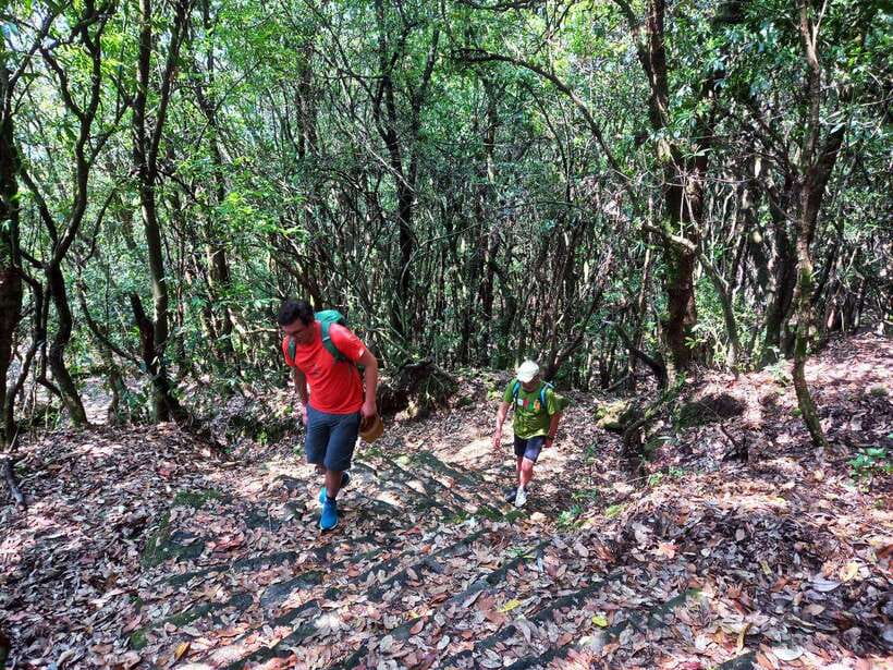 Kathmandu: Shivapuri Day Hike with Lunch - Who This Shivapuri Day Hike Fits Best