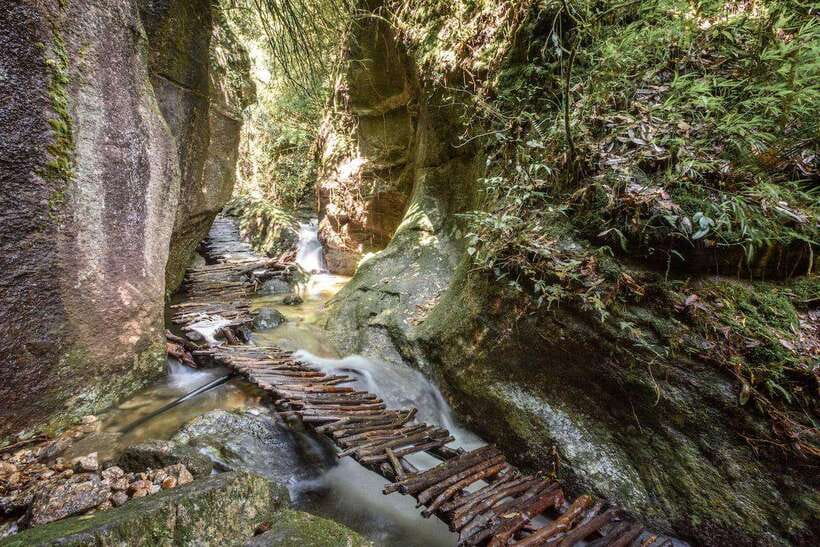 Kathmandu: Shivapuri Hill Day Hike with Lunch box - Key things you will notice on this hike
