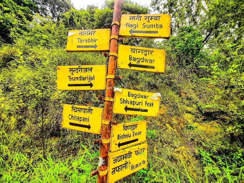 Kathmandu: Shivapuri Hill Day Hike with Lunch box - Why Shivapuri Hill feels like a real break from Kathmandu