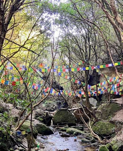 Kathmandu: Shivapuri Hill Day Hike with Lunch box - Budhanilkantha Temple: a cultural stop with a clear visual payoff