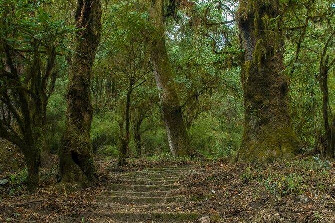 Kathmandu Shivapuri National Park and Nagarkot Hiking - 3 Days - Route highlights: Budhanilkantha, Chisopani, Nagarkot, and Changu Narayan