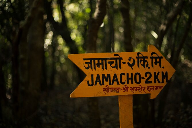 Kathmandu Shivapuri National Park and Nagarkot Hiking - 3 Days - Transport, timing, and your easiest way to start well