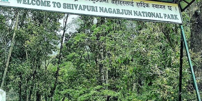 Kathmandu: Shivapuri National park Day Hiking - Bird watching, orchids, and spring rhododendrons