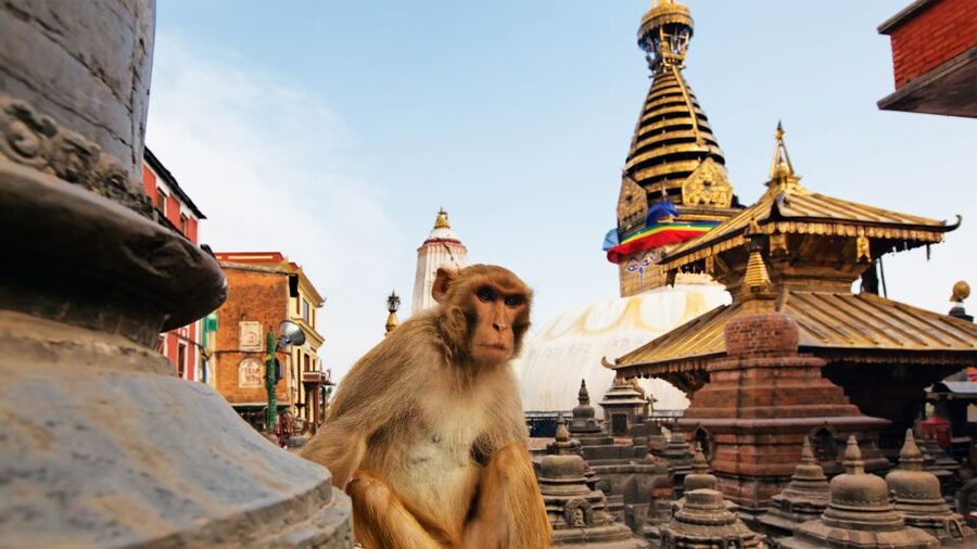 Kathmandu : Swambhunath & Durbar Square Guided Half Day Tour - Timing that actually works in 4 hours
