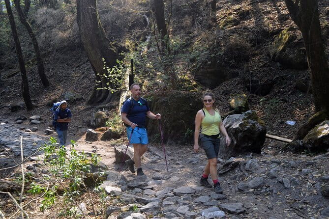 Kathmandu to Langtang Valley 7-Day Trek - The Big Idea: a classic Langtang loop with a strong local support team