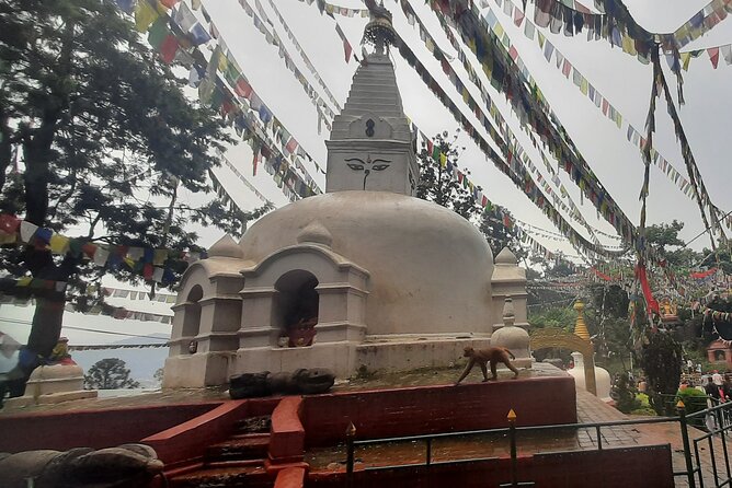 Kathmandu Top 4 or 2 UNESCO World Heritage Sites Day Tour - Price and Value: $40 Tour Cost Plus UNESCO Entrance Tickets