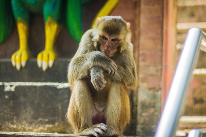 Kathmandu Valley Trek - The Guide Makes or Breaks It, and Bhumi Sounds Like a Keeper