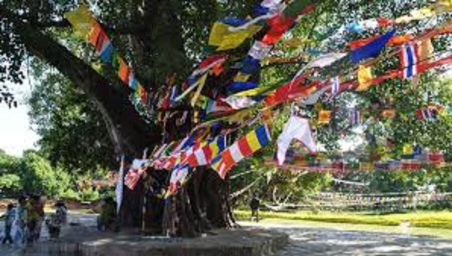 Lumbini Full day tour with Guide - Key points at a glance