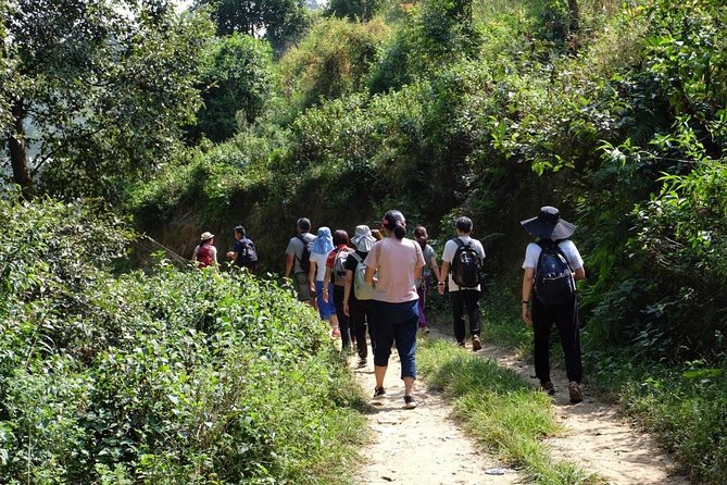 Luxury Changu Nagarkot Hike with Overnight Stay & Bhaktapur Tour - The Changu Narayan to Nagarkot hike: around 4 hours of farms, forest, and valley views