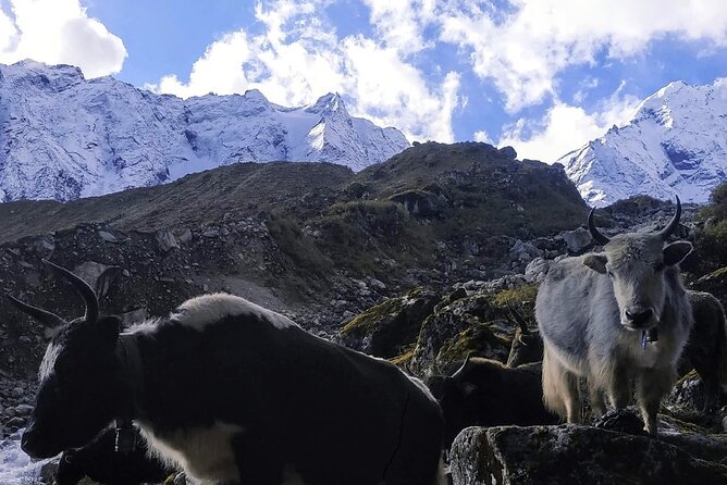 Manaslu Circuit Trek - Key things to know