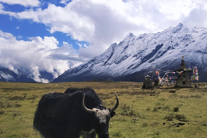 Manaslu Circuit Trek - Kathmandu logistics: transfers that prevent day-one chaos