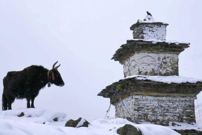 Manaslu Circuit Trekking - 17 Days - Bhimphedi to Gho: easing into the Marsyangdi valley