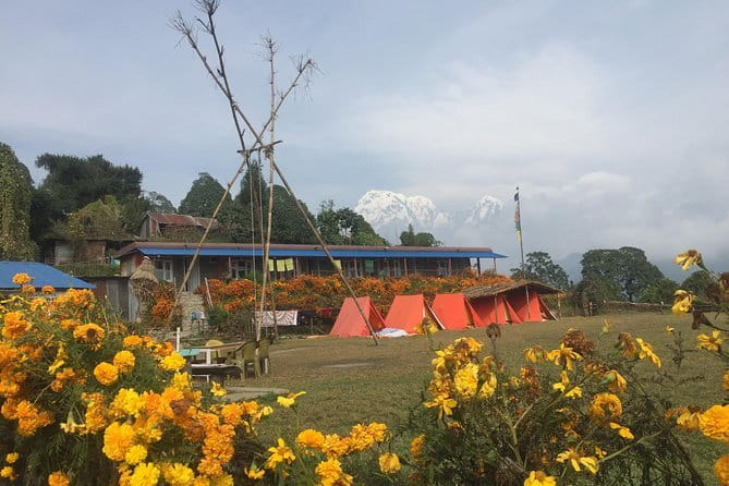Mardi Himal - Why Mardi Himal Feels Different From Other Annapurna Area Treks