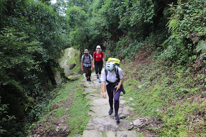 Mardi Himal Base Camp Trek (5 Days) - Key Things That Make This Mardi Himal Trek Worth Your Time