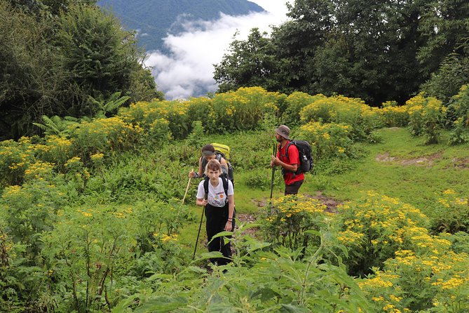 Mardi Himal Base Camp Trek (5 Days) - Why Mardi Himal Feels Wilder Than Other Base Camps