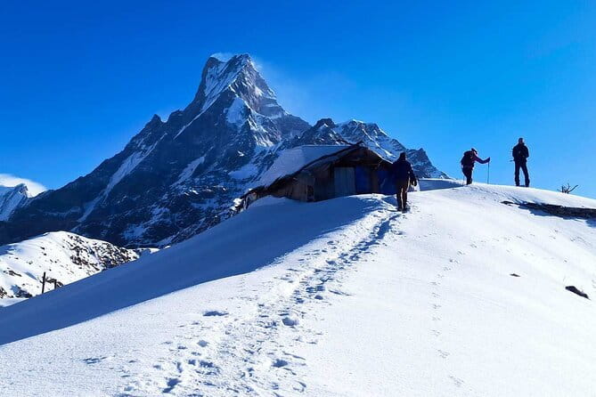 Mardi Himal Base Camp Trek from Pokhara 4 Days - Day 1 on the Mardi Himal trail: Forest Camp, Fishtail in view, and easier starts
