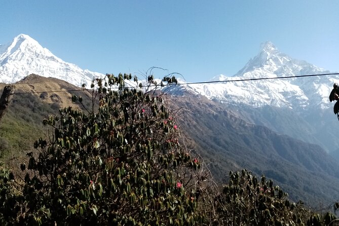 Mardi Himal Newly Discovered Trekking from Pokhara Nepal - Day 5 to Mardi Himal Base Camp: the early start payoff