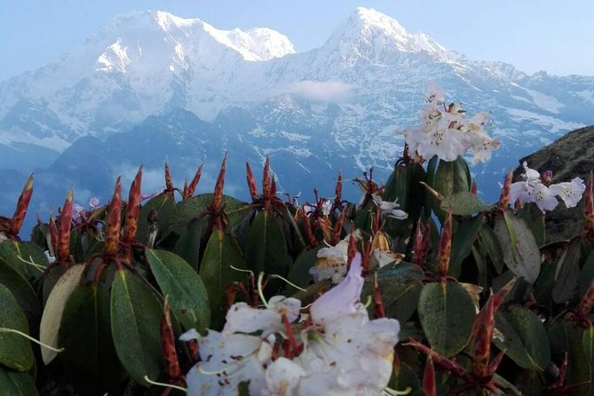 Mardi Himal Trek - 12 Days - Kathmandu warm-up in Thamel: your day 1 reset