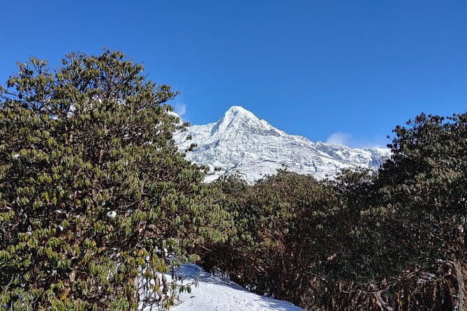 Mardi Himal Trek - Mardi Himal, explained like you’re planning your next hike