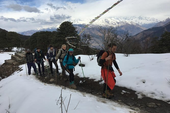 Mardi Himal Trek -5 Day Short Trek From Pokhara - Day 2 Low Camp at 2,970m: Your First Taste of Real Annapurna Terrain