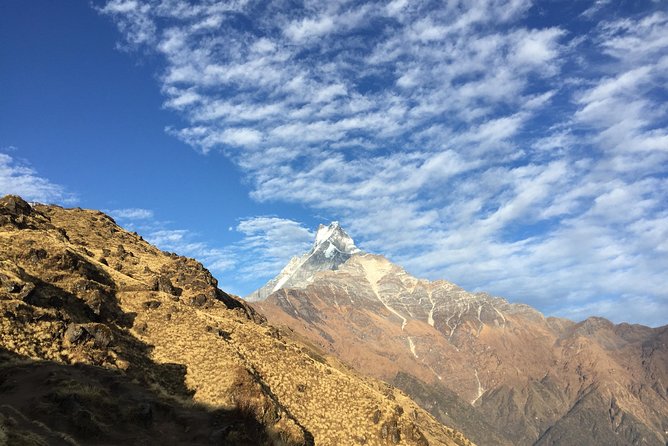 Mardi Himal Trek - 8 Days | Hidden Gem of the Annapurnas - Rhododendron forests and quieter trails: what Day 4 adds