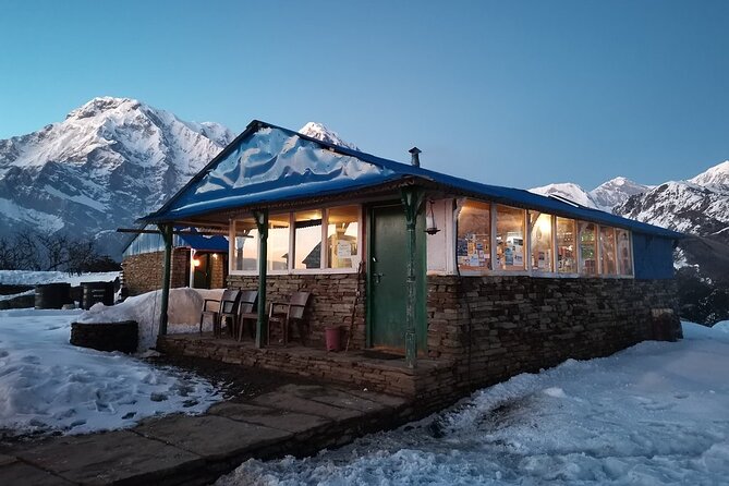 Mardi Himal Trek - 8 Days | Hidden Gem of the Annapurnas - Day 7 descent through forest and settlements, then back to Pokhara