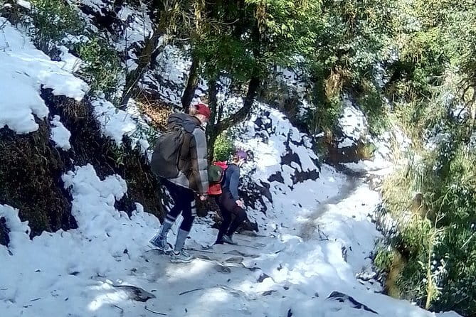 Mardi Himal Trek - Day 5: Landruk To Siwai, Then Back To Pokhara