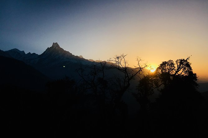 Mardi Himal Trek Fixed Departure (March 1,7; Nov 3,10,17 2023) - Why Mardi Himal feels special from Pokhara