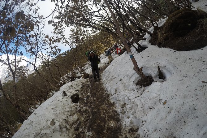 Mardi Himal Trekking - Weather Flexibility: When Plans Change, You Want a Calm Team