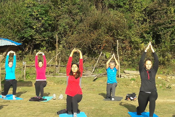Mardi Himal Yoga Trek - Pokhara again: recover, then return to Kathmandu