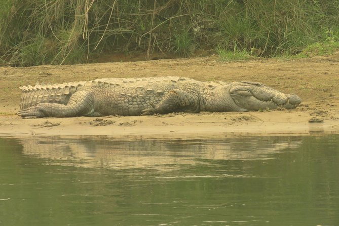 Mission Tiger, 4 days tour inside Chitwan National Park. - Homestays and meals: the value you feel every day