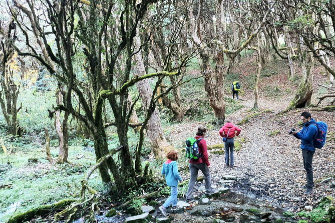 Mohare Danda Trek - Community lodge life and meals that keep you steady