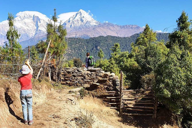 Mohare Danda Trek - Who should book this Mohare Danda trek