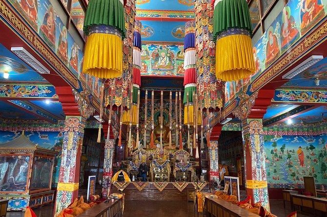 Morning Half Day Tibetan cultural tour to Tibetan Settlements - Price and logistics, does $60 really hold up?