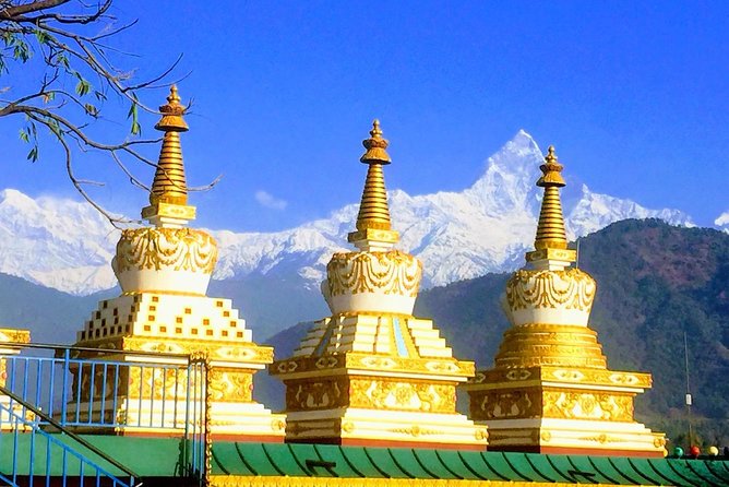Morning Tibetan cultural tour to Tibetan settlements Pokhara - Stop 3: Pema Tsal Sakya Monastic Institute and a Young Monk’s Perspective