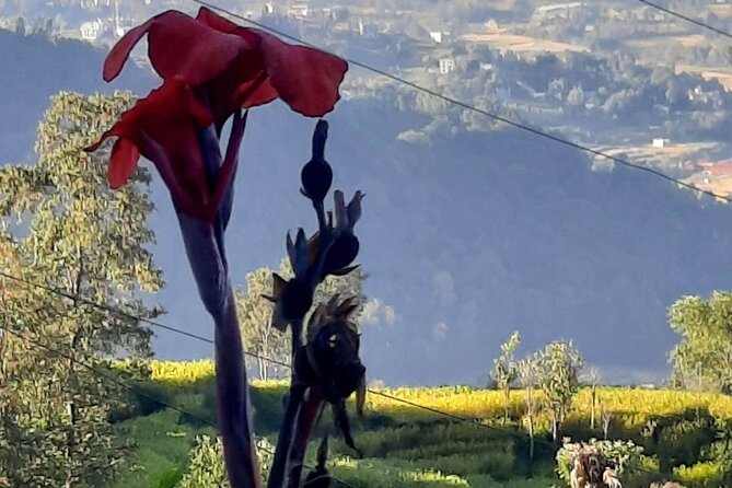 Nagarkot (2175m) Sunrise and Day Hike to Changunarayan Temple - The Panoramic Hiking Trail, What the Downhill Really Means