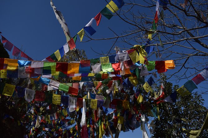 Namo Buddha and Thrangu Tashi Yangtse Monastery Half-Day Tour - The logistics that actually affect your day