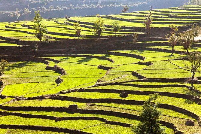 Namobuddha Monastery Hiking Day Tour via Panauti from Kathmandu - Namobuddha Monastery: why the climb feels worth it