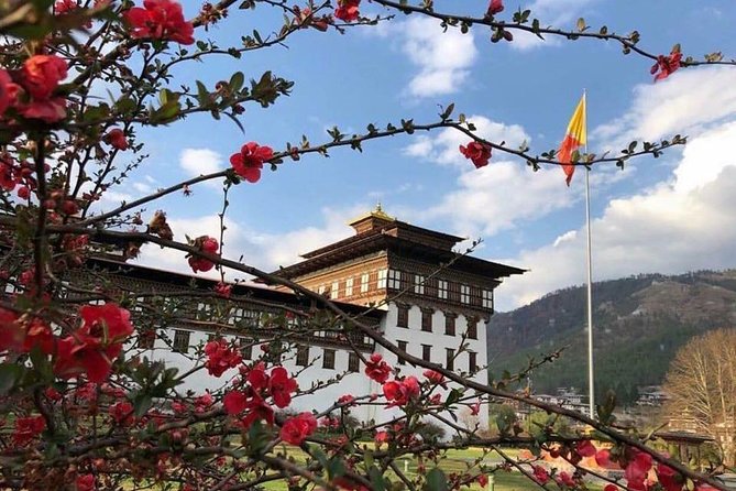 Nepal and Bhutan Tours - Day 2 Nagarkot views plus Swoyambhunath: bearings and big sky time
