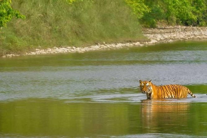 Nepal at a Glance Luxury -11 Days - Lumbini: a calm heritage day at Buddha’s birthplace