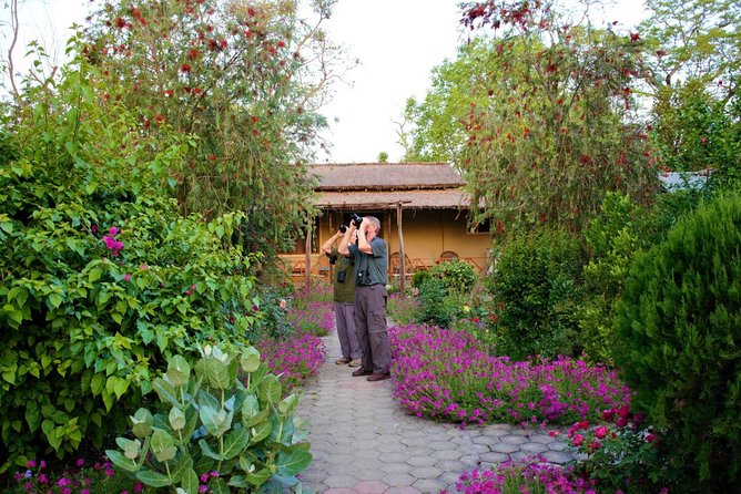 Nepal Birding - A Birding Day That Actually Uses Your Time
