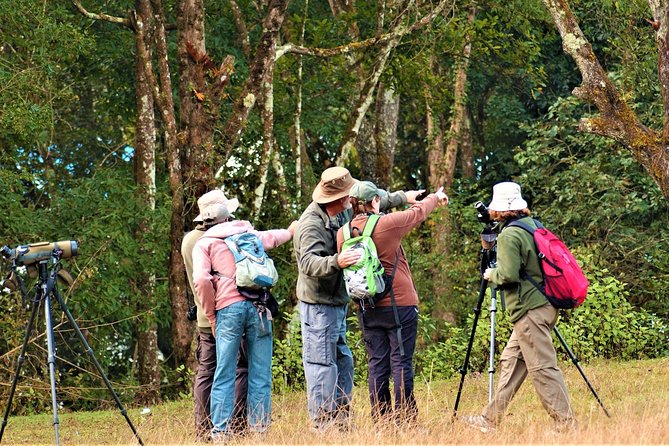 Nepal Birding - How Private Guiding Changes the Birding Game