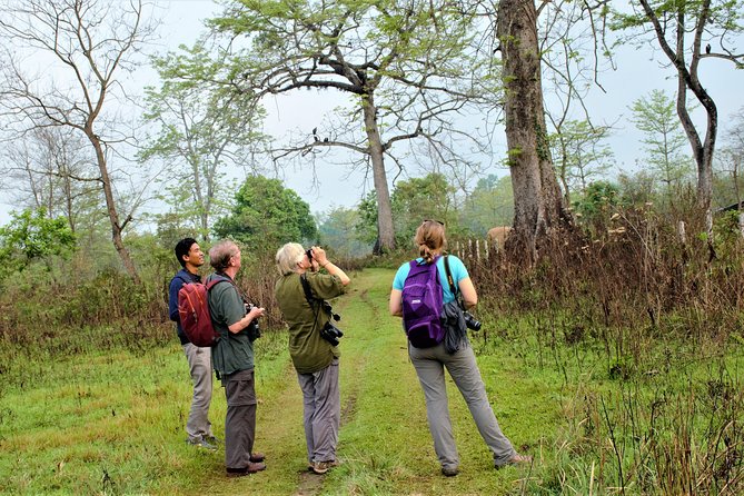 Nepal Birding - Timing, Daylight, and What the Schedule Means