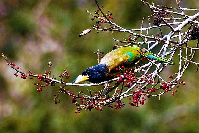 Nepal Birding - Gear and Comfort, Based on What’s Actually Included