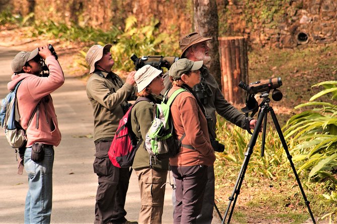 Nepal Birding - Price and Value: Why $225 Can Be Fair for a Private Day