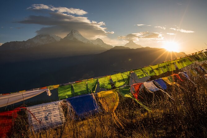 Nepal Cultural Highlights Tour in 10 Days - Days 5 and 6 in Chitwan: Rapti River wildlife, then bird watching