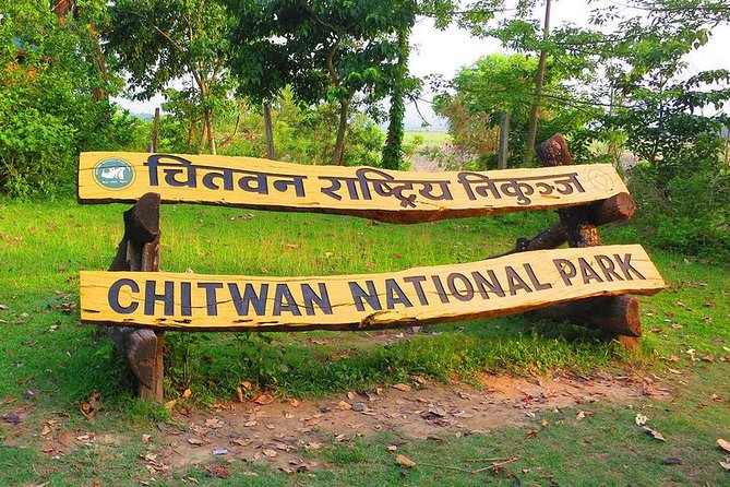 Nepal in Luxury: Kathmandu, Chitwan & Pokhara Escape – 8 Days - Chitwan safari day: rhinos, rivers, and the odds of tigers
