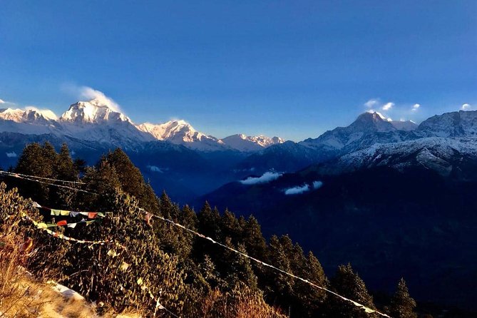 Nepal Round Tour with Annapurna Trek 14 Days - Pokhara in the middle: your altitude buffer and your reset